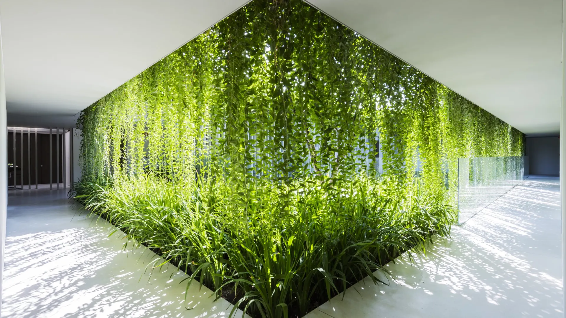 Long An Riverfront Eco House