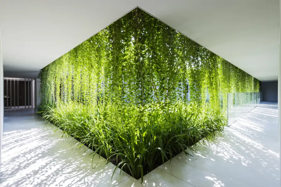 Long An Riverfront Eco House