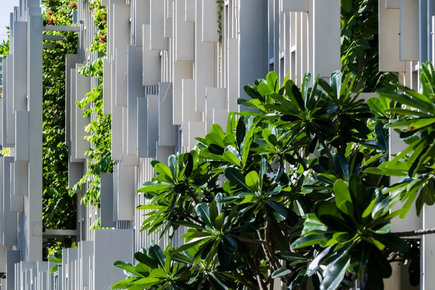 Binh Thuan Sunset Resort Gallery Detail